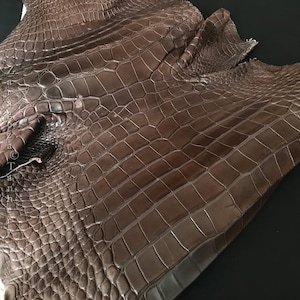 Peut inclure: Une peau de crocodile marron présentant un motif d'écailles en relief distinct sur toute la surface. Le cuir affiche une texture naturelle avec des écailles de tailles et de formes variées. Le texte "Zaragoza Tannery" est visible sur le bord gauche.