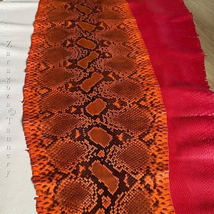 Burnt Orange Reticulated Python Skin, Real Exotic Skin for Handcrafting