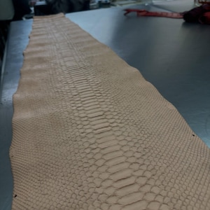 Äkta ljus persikobeige Borneo Python-läder med bakskärning | Blekt finish, professionellt garvat och redo för hantverk
