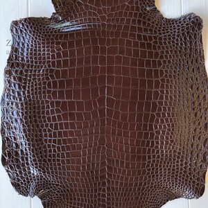 May include: A dark brown, glossy alligator skin hide featuring a distinct, symmetrical scale pattern. The leather has a polished, reflective surface with a uniform texture across the entire piece, showcasing the natural grid-like structure.