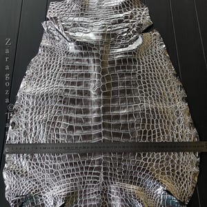 Silver Foiled Python Skin, Genuine Exotic Skin for Craftsman Project