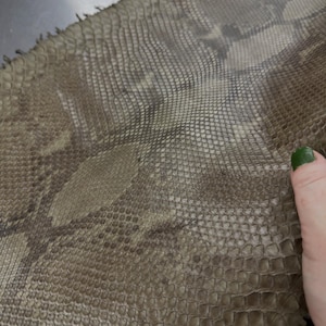 Real Reticulated Python Leather Hide | Taupe Gray Belly Cut Skin | Whole Unbleached Tanned Leather
