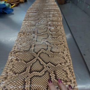 Real Burmesed Python Belly Cut Leather Hide | Brown Unbleached Exotic Snake Skin | Luxury Craft Projects image 2