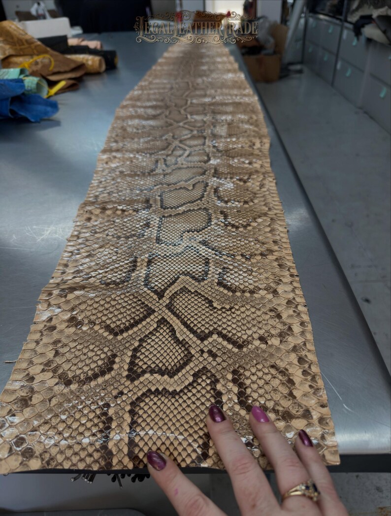 Real Burmesed Python Belly Cut Leather Hide | Brown Unbleached Exotic Snake Skin | Luxury Craft Projects image 2