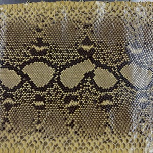 Real Reticulated Python Leather Hide | Yellow Belly Cut Skin | Whole Unbleached Tanned Leather