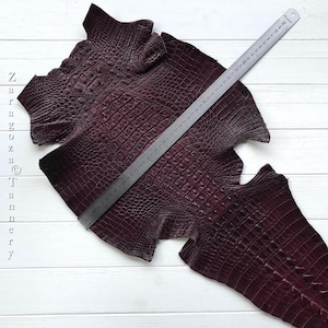 May include: A deep burgundy crocodile skin hide with a textured, scaled surface pattern. A metal ruler is placed diagonally across the leather, showing a length measurement of 50 centimetres. The text Zaragoza Tannery is visible on the left side.