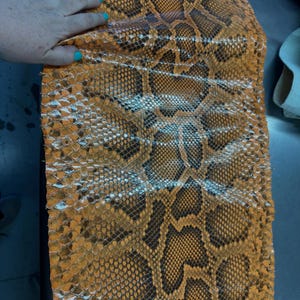 Echtes burmesisches Python-Bauchleder | Orangefarbenes, ungebleichtes exotisches Schlangenleder | Luxuriöse Bastelprojekte