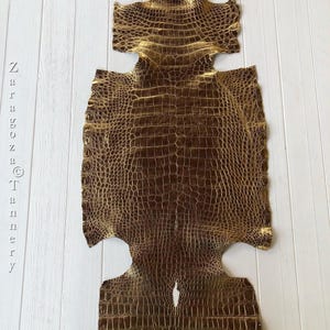 May include: A metallic gold crocodile skin hide with a distinct textured scale pattern. The leather features a reflective finish and is laid flat. The text Zaragoza Tannery is printed vertically along the left side of the image.
