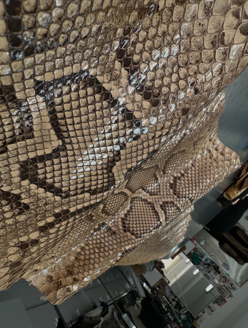 Real Burmesed Python Belly Cut Leather Hide | Brown Unbleached Exotic Snake Skin | Luxury Craft Projects image 7