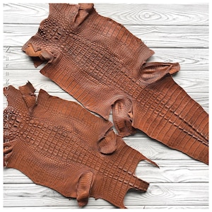May include: Two pieces of brown crocodile leather with a distinct textured scale pattern. The leather features a natural, irregular shape with a prominent ridge down the center of each piece. The text "Zarago tannery" is visible on the left side.