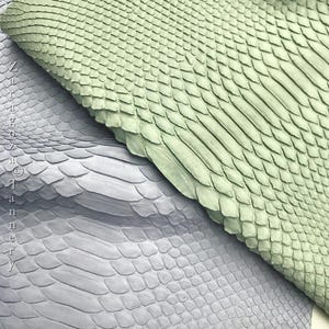 Sage Mist Green Python Leather | Borneo Back Cut, Bleached Matte Finish | Exotic Skin for Crafting