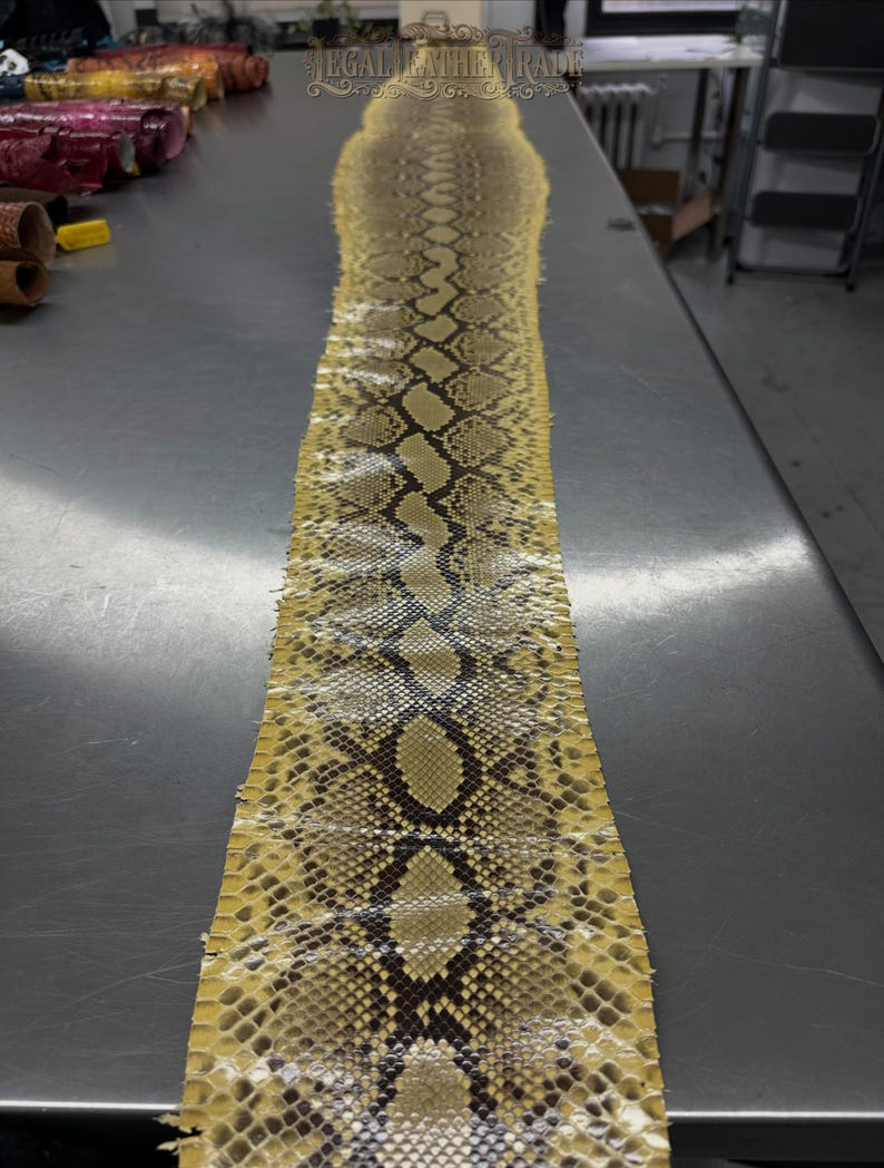 May include: A long, flat, tanned snakeskin hide featuring a natural yellow and brown diamond-shaped scale pattern. The leather strip displays a distinct dark brown vertebral stripe running down the center, with smaller scales along the edges.