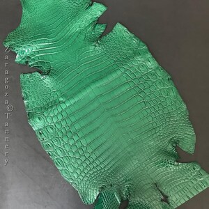 May include: A vibrant emerald green crocodile skin hide featuring a distinct, raised scale pattern across the entire surface. The leather displays a glossy finish with natural texture variations. The text Zaragoza Tannery is printed vertically.