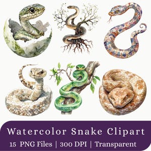 Pode incluir: Uma coleção de seis ilustrações em aquarela de cobras apresentando várias espécies em diferentes poses, incluindo uma cobra saindo de um ovo, uma cobra enrolada em uma árvore e uma cobra marrom enrolada. Texto: Watercolor Snake Clipart 15 PNG Files 300 DPI Transparent.