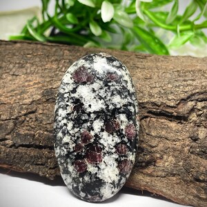 Pode incluir: Uma pedra preciosa polida de formato oval com um padrão salpicado de minerais pretos, brancos e cinzentos translúcidos, com inclusões circulares vermelho-escuras incrustadas em toda a superfície e um acabamento liso e brilhante.