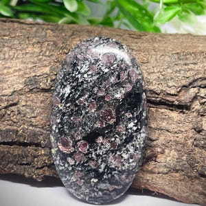 May include: An oval-shaped polished gemstone featuring a mottled pattern of deep black, white, and gray mineral inclusions interspersed with numerous small, distinct dark red garnet crystals embedded throughout the smooth, reflective surface.