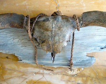 Rustic Antique Cow Skull Horns Bull Whip Mounted Distressed Patina Antler Western Art