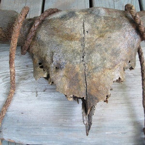 Rustic Antique Cow Skull Horns Bull Whip Mounted Distressed Patina Antler Western Art image 4