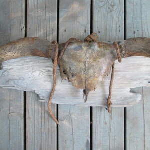 Rustic Antique Cow Skull Horns Bull Whip Mounted Distressed Patina Antler Western Art image 3