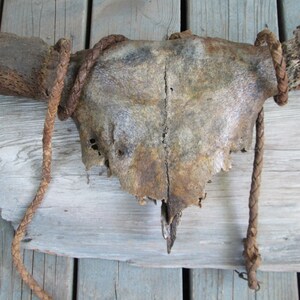 Rustic Antique Cow Skull Horns Bull Whip Mounted Distressed Patina Antler Western Art image 2