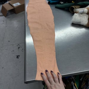 Real Blush Beige Borneo Python Back Cut Leather Hide | Bleached Finish, Premium Tanned Exotic Leather for Luxury Leathercraft image 4