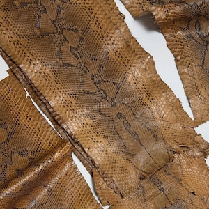 May include: Several strips of natural tan snakeskin leather featuring a distinct dark brown diamond-shaped scale pattern. The textured reptile hide pieces are arranged in overlapping sections, showcasing the organic scale detail and earthy color tones.