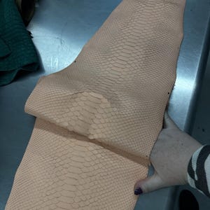 Real Blush Beige Borneo Python Back Cut Leather Hide | Bleached Finish, Premium Tanned Exotic Leather for Luxury Leathercraft image 2