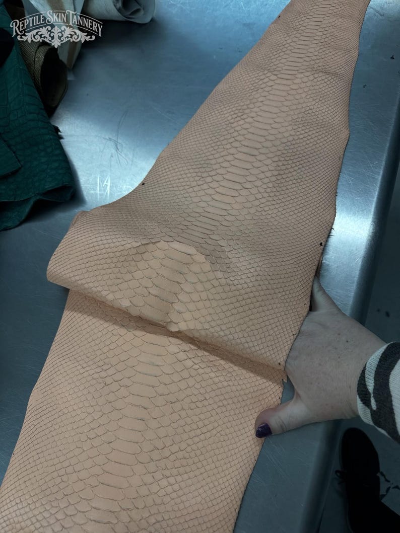 Real Blush Beige Borneo Python Back Cut Leather Hide | Bleached Finish, Premium Tanned Exotic Leather for Luxury Leathercraft image 2