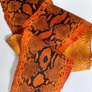 Burnt Sienna Orange Python Skin for Craftsman Project, Real Exotic Skin Ideal for Boutiques