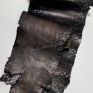May include: A dark brown, textured snakeskin hide with a distinct scale pattern. The surface features a repeating, overlapping scale design with a matte finish. The text "Your Leather Supplier" is printed in a light, cursive font across the center.