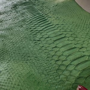 Couro genuíno de píton-de-bornéu verde-folha, com acabamento clareado, couro exótico curtido de alta qualidade para artesanato em couro de luxo.