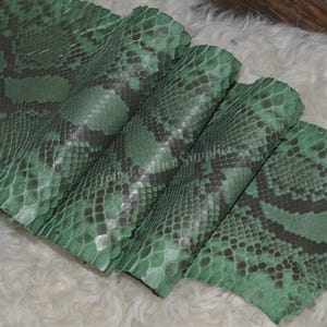 Green Python Skin, Genuine Exotic Skin for Craftsman Project
