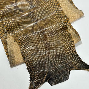 Real Reticulated Python Leather, Yellow Reptile Leather for Craftsman Project