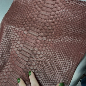 Cuir véritable de python de Bornéo brun, dos découpé | Finition blanchie, cuir exotique tanné de qualité supérieure pour la maroquinerie de luxe