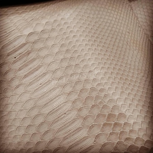May include: A light beige, textured material featuring a repeating, overlapping scale pattern. The surface displays a natural, organic appearance with varying shades of cream and tan, creating a tactile, three-dimensional effect across the entire piece.