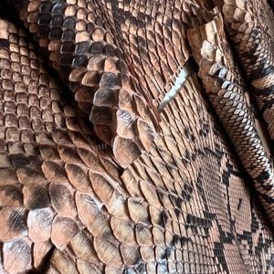 Cuir de serpent réticulé brun naturel, véritable cuir exotique pour l'artisanat