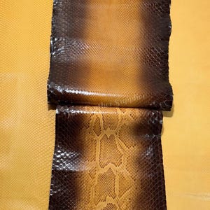 Pelle di pitone birmano color caramello brunito / Vera pelle esotica per lavori artigianali