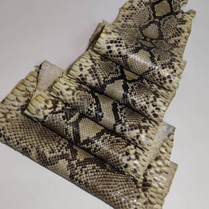 Python Skin for Handcrafting, Real Exotic Leather