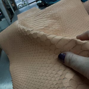 Real Blush Beige Borneo Python Back Cut Leather Hide | Bleached Finish, Premium Tanned Exotic Leather for Luxury Leathercraft image 3