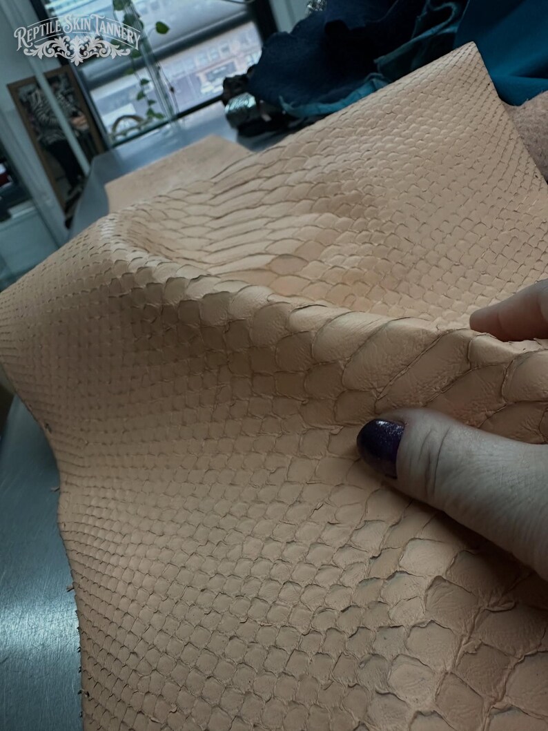 Real Blush Beige Borneo Python Back Cut Leather Hide | Bleached Finish, Premium Tanned Exotic Leather for Luxury Leathercraft image 3