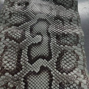 Echtes, naturbelassenes, graues burmesisches Python-Bauchleder | Natürliche, ungebleichte Oberfläche, hochwertiges, gegerbtes Exotenleder für Lederhandwerk