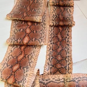 Rust Brown Snake Skin, Genuine Reptile Skin for Handmade Craft