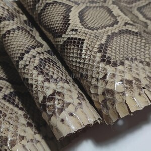 Natural Burmese Python Skin, Real Reptile Skin for Craftsman Project