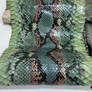Grünes, netzartiges Pythonleder, echtes Reptilienleder für Handarbeiten
