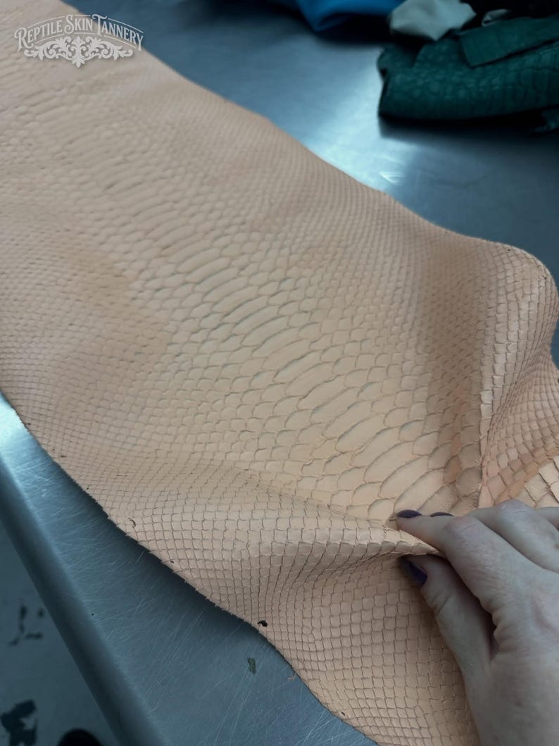 Real Blush Beige Borneo Python Back Cut Leather Hide | Bleached Finish, Premium Tanned Exotic Leather for Luxury Leathercraft image 5