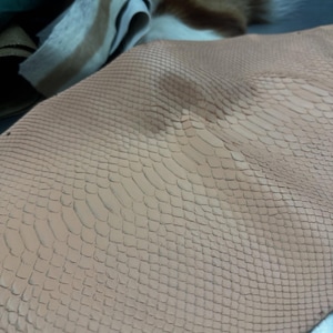 Real Blush Beige Borneo Python Back Cut Leather Hide | Bleached Finish, Premium Tanned Exotic Leather for Luxury Leathercraft