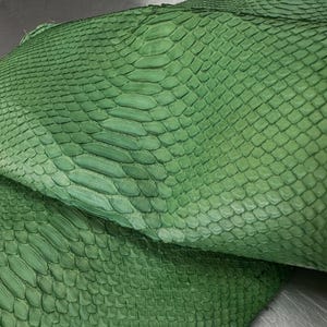 以下が含まれることがあります： 鮮やかな緑色のヘビ革で、中央には大きく細長い鱗が並び、両サイドには小さく均一な鱗が並ぶ独特の鱗模様が特徴です。左上隅にはReptile Skin Tanneryというテキストが表示されています。