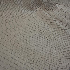 Real Blush Beige Borneo Python Back Cut Leather Hide | Bleached Finish, Premium Tanned Exotic Leather for Luxury Leathercraft image 6