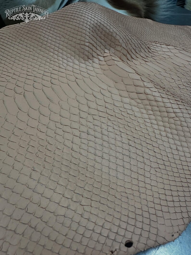 Real Blush Beige Borneo Python Back Cut Leather Hide | Bleached Finish, Premium Tanned Exotic Leather for Luxury Leathercraft image 6