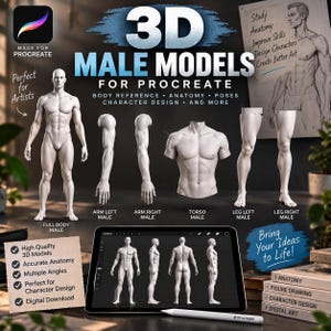 May include: A digital product display for 3D male models for Procreate, featuring a full-body figure, separate arm, torso, and leg components, and a tablet showing multiple character angles with text including 3D MALE MODELS FOR PROCREATE.